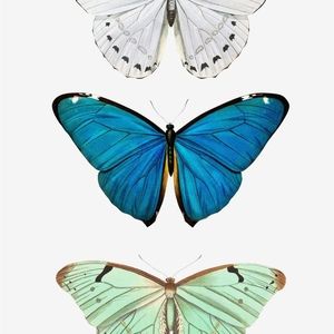 Meet your Posher, Loretta